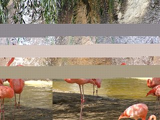 Cliquez sur l'image pour la voir en taille relle

Nom : Zed_Animaux_01021.jpg
Taille : 1024x768
Poids : 406,7 Ko
ID : 23738