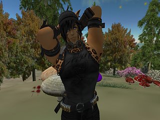 Cliquez sur l'image pour la voir en taille relle

Nom : Snapshot_008.jpg
Taille : 1024x768
Poids : 232,8 Ko
ID : 33738