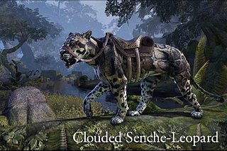gp_crwn_mounts_cloudedsencheleopard_1x1.jpg gp_crwn_mounts_cloudedsencheleopard_1x1.jpg