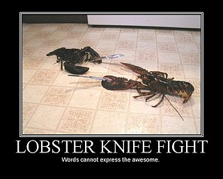 Cliquez sur l'image pour la voir en taille relle

Nom : lobster knife gifht.jpg
Taille : 750x600
Poids : 97,4 Ko
ID : 44848