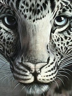 Cliquez sur l'image pour la voir en taille relle

Nom : Leopard-Optical-Illusion1.jpg
Taille : 522x699
Poids : 107,3 Ko
ID : 396848