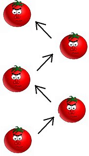 jolmemanque.jpg jolmemanque.jpg
