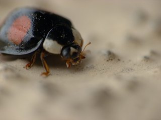 P1030581.JPG P1030581.JPG