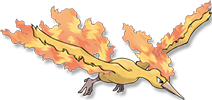 146.png
