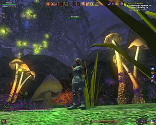 Cliquez sur l'image pour la voir en taille relle

Nom : EQ2_000013.jpg
Taille : 1280x1024
Poids : 198,5 Ko
ID : 5668