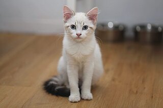 WhatsApp Image 2019-09-05 at 20.19.27.jpg WhatsApp Image 2019-09-05 at 20.19.27.jpg