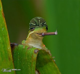 Cliquez sur l'image pour la voir en taille relle

Nom : frog-of-war-with-stoggie.jpg
Taille : 624x578
Poids : 56,5 Ko
ID : 184198