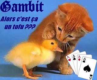 Cliquez sur l'image pour la voir en taille relle

Nom : Gambitlow.jpg
Taille : 365x300
Poids : 31,5 Ko
ID : 4298
