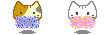 chats-pom-pom.gif