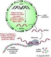 41135-1628529129-1144.png 41135-1628529129-1144.png