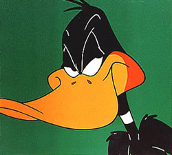 daffy-duck.jpg daffy-duck.jpg