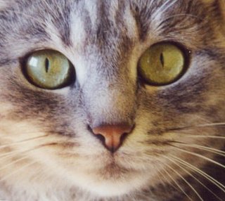 Cliquez sur l'image pour la voir en taille relle

Nom : gribouille.jpg
Taille : 400x358
Poids : 28,3 Ko
ID : 14309