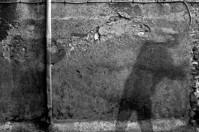 Excuse%20me%20while%20I%20kill%20myself.jpg Excuse%20me%20while%20I%20kill%20myself.jpg