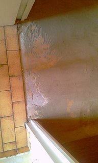 Cliquez sur l'image pour la voir en taille relle

Nom : IMAG0005.jpg
Taille : 1552x2592
Poids : 695,7 Ko
ID : 108509