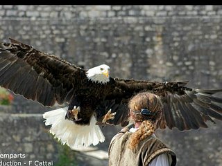 Cliquez sur l'image pour la voir en taille relle

Nom : 2013-06-10-Mdivales de Provins 30 ans.JPG
Taille : 768x576
Poids : 55,2 Ko
ID : 196019