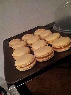 Cliquez sur l'image pour la voir en taille relle

Nom : Citron.jpg
Taille : 441x588
Poids : 35,8 Ko
ID : 214519