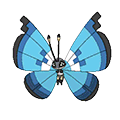 vivillon-marine.png