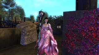 Cliquez sur l'image pour la voir en taille relle

Nom : gw729.jpg
Taille : 1920x1080
Poids : 575,5 Ko
ID : 189729