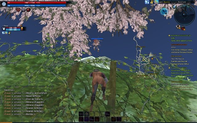 tera_s10.jpg tera_s10.jpg