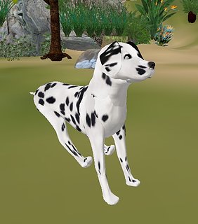 Cliquez sur l'image pour la voir en taille relle

Nom : Dalmatien.jpg
Taille : 513x583
Poids : 151,7 Ko
ID : 34539