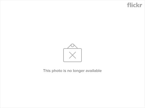 2528811100_b0b5dd0a9f_o.png