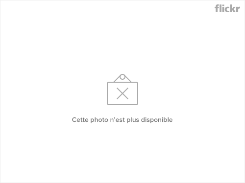 6635761561_4f583e8b07.png 6635761561_4f583e8b07.png