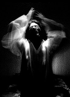 P1060437.JPG P1060437.JPG