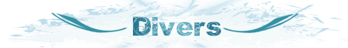 1341839087-divers.png