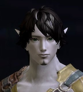 Cliquez sur l'image pour la voir en taille relle

Nom : Aion0012.jpg
Taille : 528x584
Poids : 57,0 Ko
ID : 85459