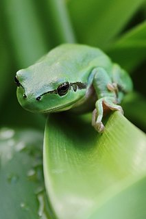 IMG_9039_low.jpg IMG_9039_low.jpg