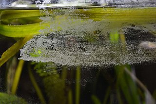 Cliquez sur l'image pour la voir en taille relle

Nom : _DSC133.jpg
Taille : 4608x3072
Poids : 804,0 Ko
ID : 149859