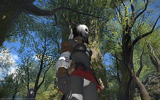 Cliquez sur l'image pour la voir en taille relle

Nom : ffxiv_20130714_061634.jpg
Taille : 1920x1200
Poids : 1,39 Mo
ID : 200869