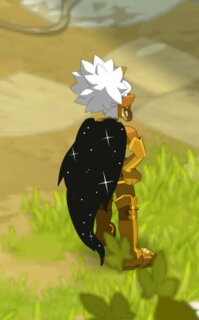 cape 1.PNG