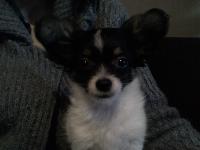 mini_130109102005753665.jpg