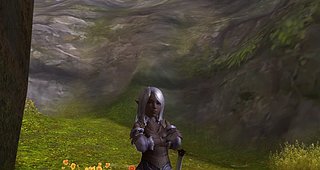 Cliquez sur l'image pour la voir en taille relle

Nom : Aion0013.jpg
Taille : 1600x850
Poids : 346,5 Ko
ID : 87379