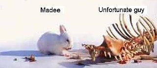 Cliquez sur l'image pour la voir en taille relle

Nom : jol madee psi-rabbit.JPG
Taille : 454x199
Poids : 13,7 Ko
ID : 74579