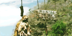 pirates-ye-be-warned.gif