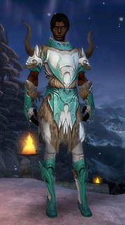 Armure de Norn-Parangon-Homme.jpg Armure de Norn-Parangon-Homme.jpg