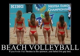 Cliquez sur l'image pour la voir en taille relle

Nom : beach_volleyball.jpg
Taille : 600x422
Poids : 41,6 Ko
ID : 171189