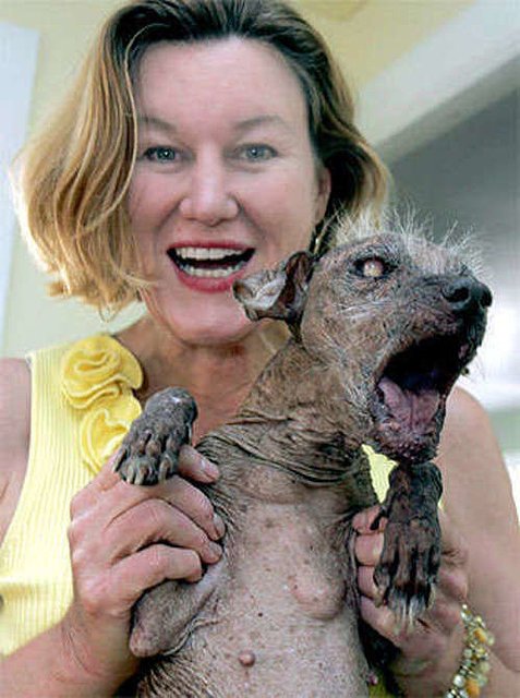 worlds_ugliest_dog.jpg