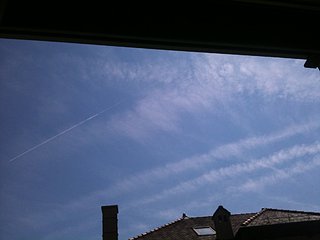 IMG_0025.JPG IMG_0025.JPG