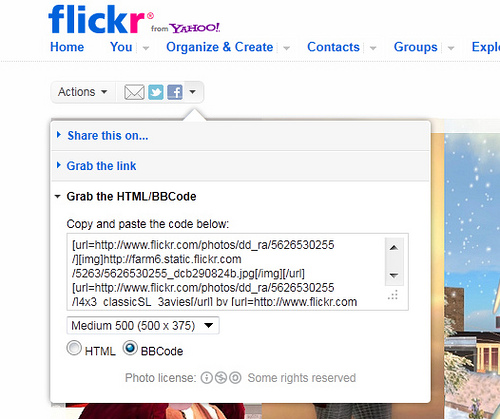 5649324806_0144cfd625.jpg 5649324806_0144cfd625.jpg