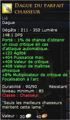 490879Dagueduparfaitchasseur.jpg