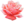 24px-Extracted_pink_rose.png