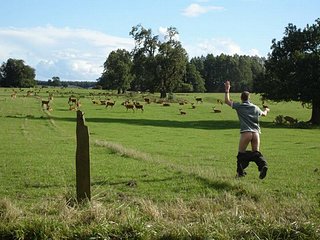Cliquez sur l'image pour la voir en taille relle

Nom : DeerSex.jpg
Taille : 700x525
Poids : 88,2 Ko
ID : 5999