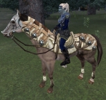 https://jolstatic.fr/camelot/images/bardes/mini%20mystique%20l%e9gere.jpg