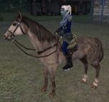 https://jolstatic.fr/camelot/images/bardes/mini%20sinistre%20selle.jpg