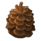  2 Pom de Pin .