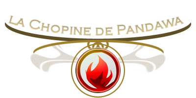 https://jolstatic.fr/dofus/bazar/header/pandawa_feu.png