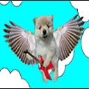 Avatar de Nvk ~ Ambrozia